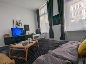 Schönes Appartment im Zentrum von Koblenz II